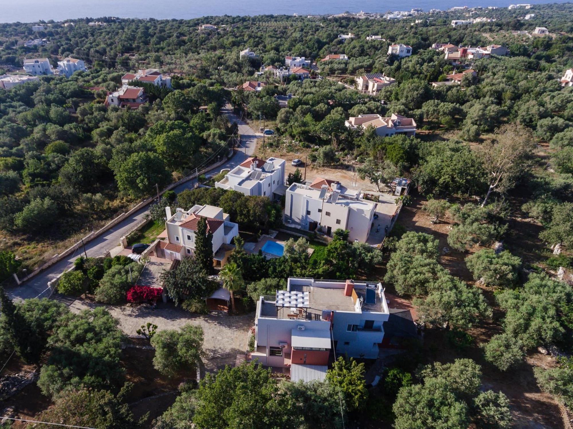 Villa Olive Garden Venetia Prinés